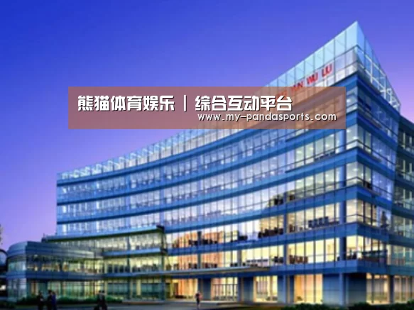 熊猫体育案例展示三