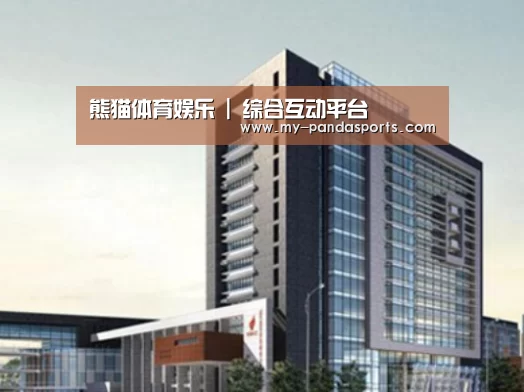 熊猫体育案例展示四