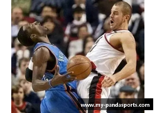 熊猫体育NBA比赛用球型号详解与选择指南