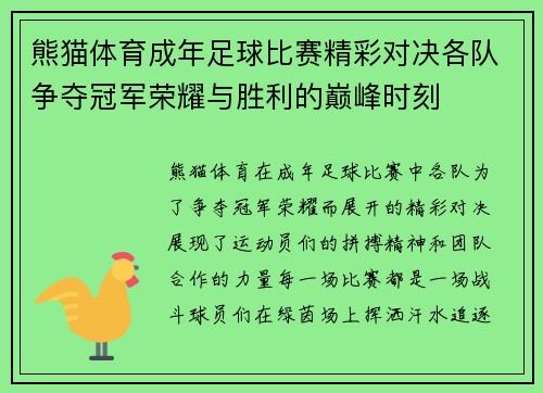 熊猫体育成年足球比赛精彩对决各队争夺冠军荣耀与胜利的巅峰时刻