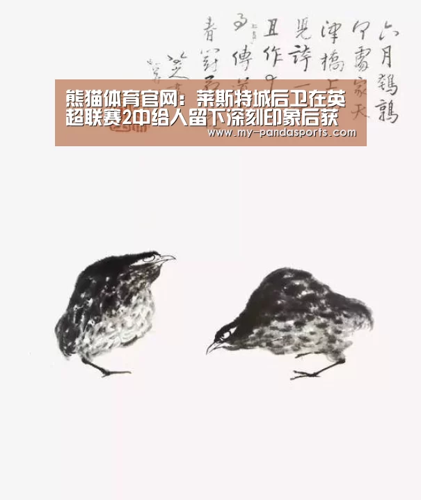 熊猫体育官网:莱斯特城后卫在英超联赛2中给人留下深刻印象后获得12月奖(图4) 熊猫体育赛事