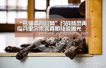 “熊猫体育官网”约战精灵再临芬里尔崇宫真那技能曝光 芬里尔崇宫真那技能展示(图1) 熊猫体育app