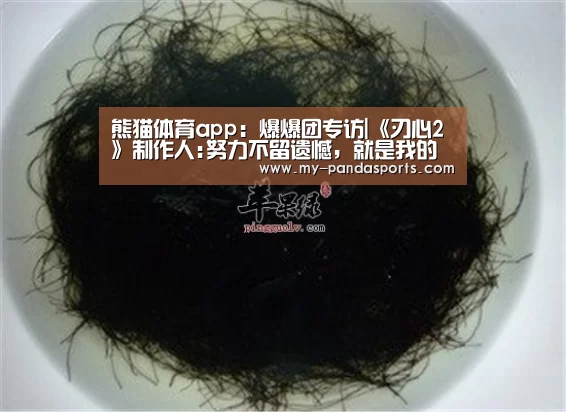 熊猫体育app:爆爆团专访|《刃心2》制作人:努力不留遗憾,就是我的刃心(图2) 熊猫体育官网